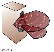 fig1.jpg